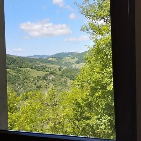 Sant'andrea - Monticello 公寓 梅代萨诺